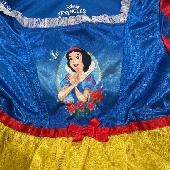 Disney Princess Blue and White Costume - Picture 2 of 3
